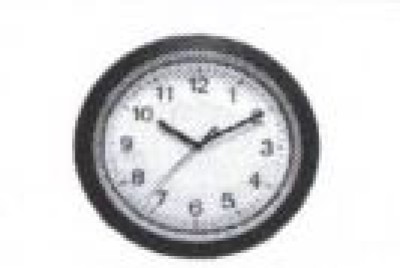 समावेशी समाजवादी पार्टी, नेपाल